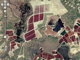 Cranberry bogs on Google Maps
