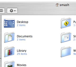 Preview of these Finder “View Options” in a folder