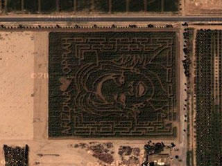 Oprah's face in a maze on Google Maps.
